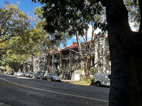 Charming residential street in West Chester lined with mature trees.
