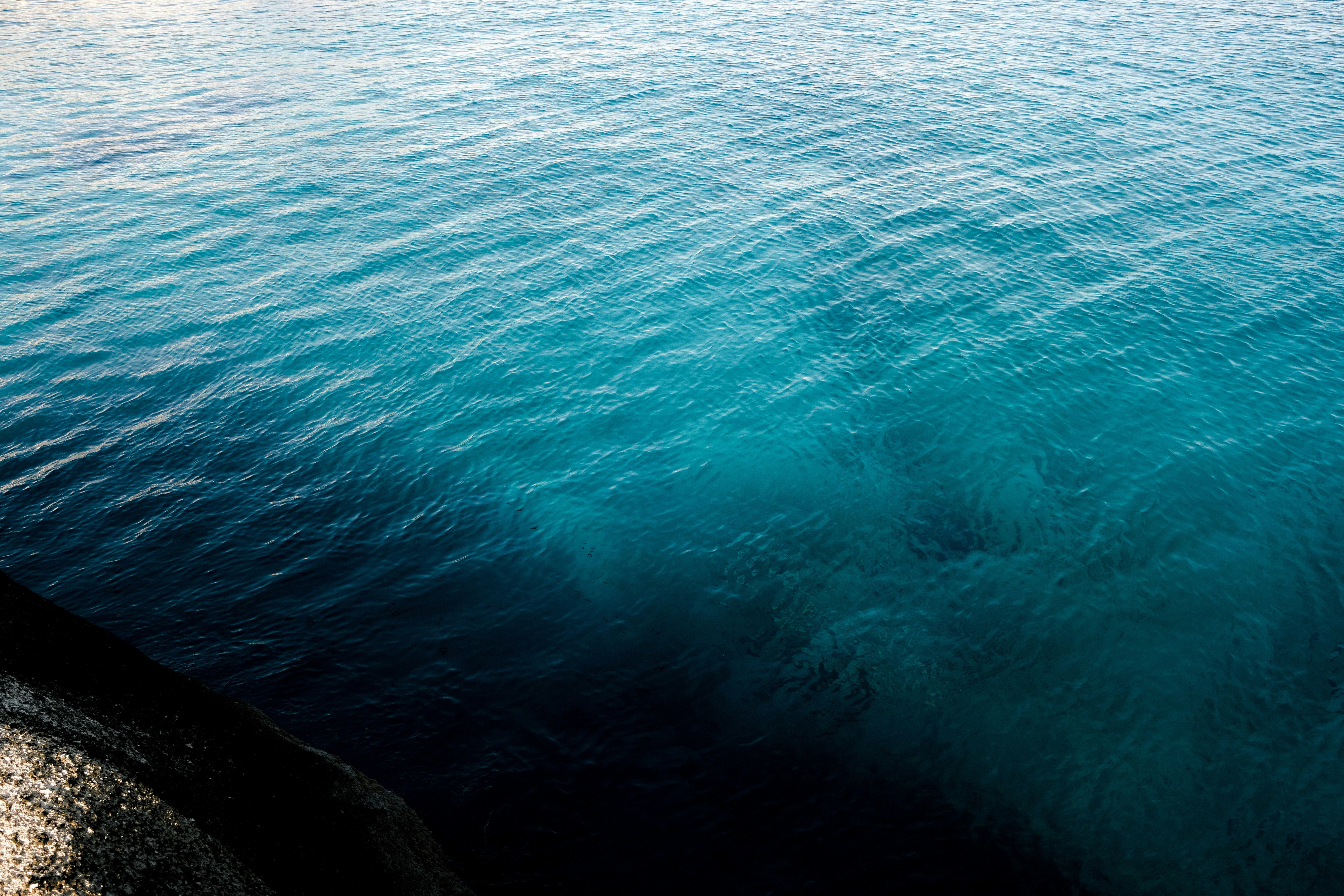 Photo by lmoss_photo