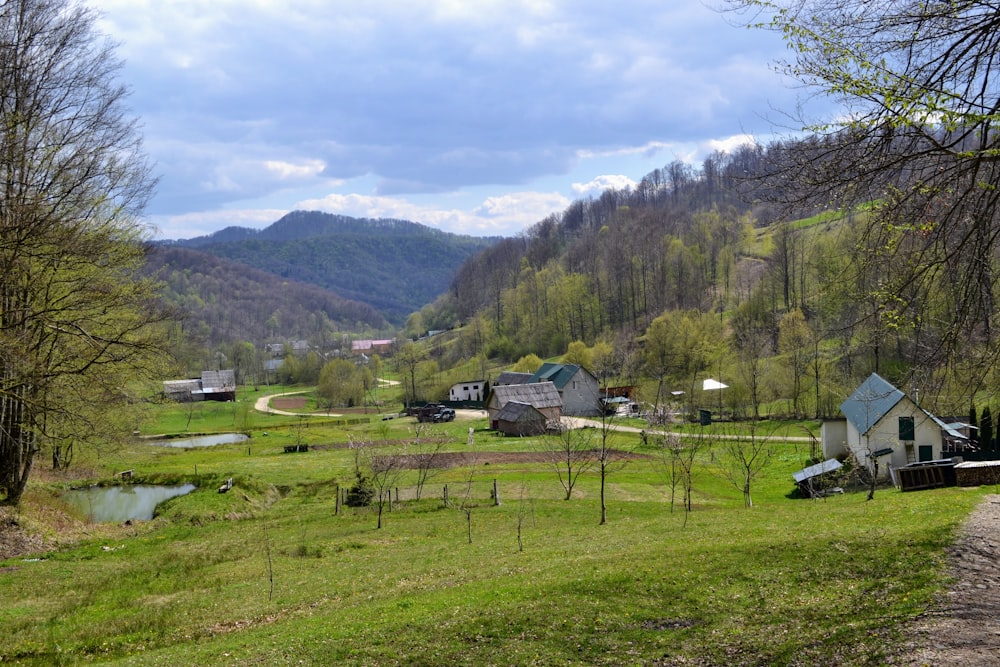 a green field with a few houses in it