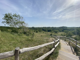 A scenic view of the Antietam battlefield with historical markers and lush greenery under a bright blue sky.