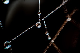 Close-up view of dew or water droplets strung along the strands of a spiderweb, reflecting and refracting light against a dark background creating an almost abstract, bokeh-like effect.