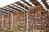 Stacks of cut logs are neatly arranged under a large metal roof. The logs are of various sizes and are piled high, enclosed by a chain-link fence. The structure has several metal posts supporting the roof, and there are small patches of grass and plants visible at the base.