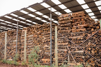 Stacks of cut logs are neatly arranged under a large metal roof. The logs are of various sizes and are piled high, enclosed by a chain-link fence. The structure has several metal posts supporting the roof, and there are small patches of grass and plants visible at the base.