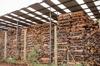 Stacks of cut logs are neatly arranged under a large metal roof. The logs are of various sizes and are piled high, enclosed by a chain-link fence. The structure has several metal posts supporting the roof, and there are small patches of grass and plants visible at the base.
