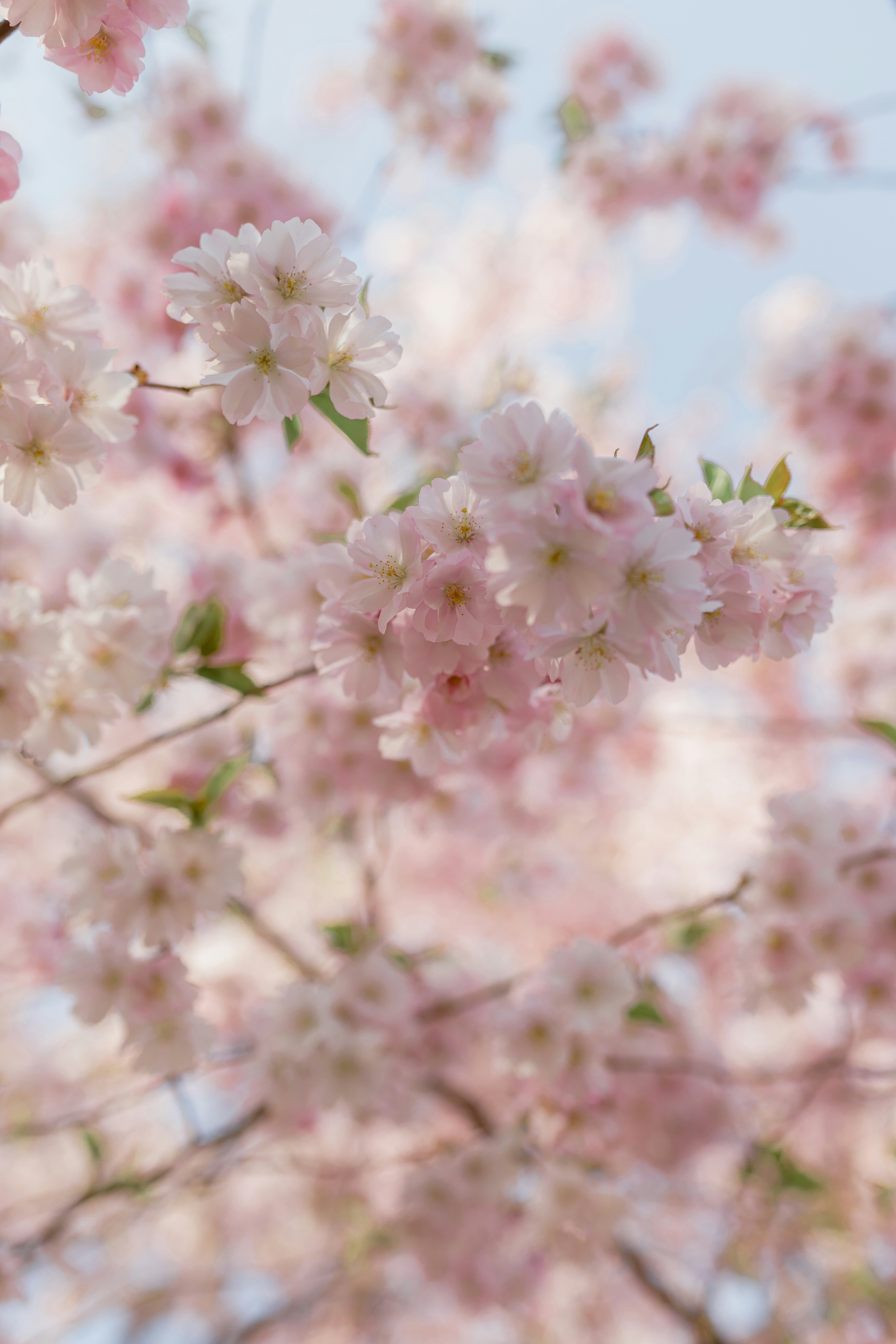 Photo by daiga_ellaby