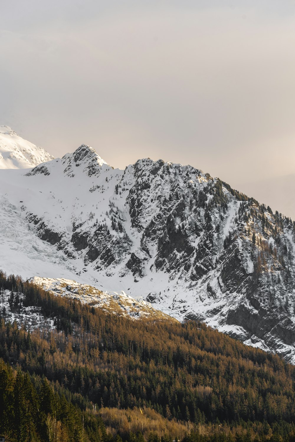 a snow covered mountain with trees in the foreground