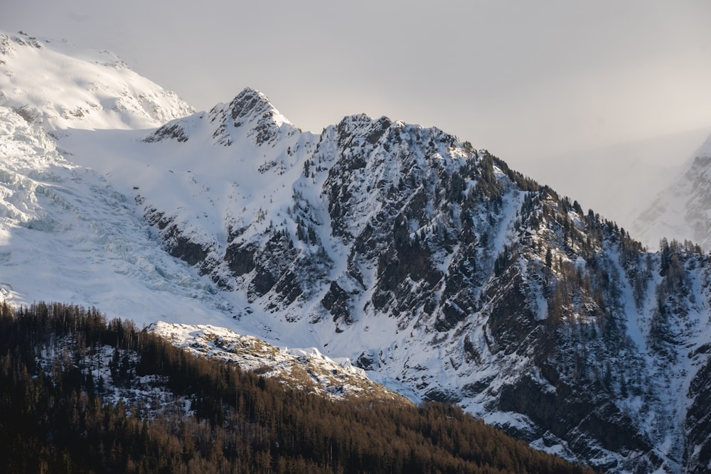 a mountain covered in snow and surrounded by pine trees