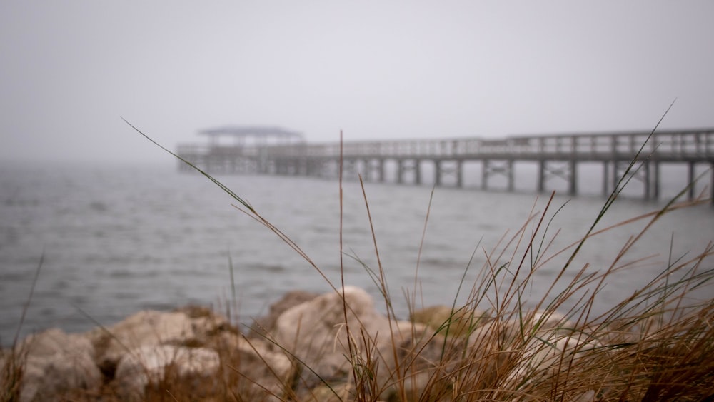 a view of a pier from the shore of a body of water