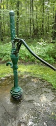 A rustic green hand water pump is mounted on a concrete surface surrounded by a lush forest. The forest floor is covered with green vegetation and moss. The pump handle is long and metallic, and the pump itself shows signs of wear with chipped paint.