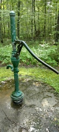 A rustic green hand water pump is mounted on a concrete surface surrounded by a lush forest. The forest floor is covered with green vegetation and moss. The pump handle is long and metallic, and the pump itself shows signs of wear with chipped paint.