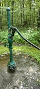 A rustic green hand water pump is mounted on a concrete surface surrounded by a lush forest. The forest floor is covered with green vegetation and moss. The pump handle is long and metallic, and the pump itself shows signs of wear with chipped paint.