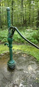 A rustic green hand water pump is mounted on a concrete surface surrounded by a lush forest. The forest floor is covered with green vegetation and moss. The pump handle is long and metallic, and the pump itself shows signs of wear with chipped paint.