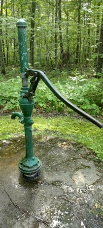 A rustic green hand water pump is mounted on a concrete surface surrounded by a lush forest. The forest floor is covered with green vegetation and moss. The pump handle is long and metallic, and the pump itself shows signs of wear with chipped paint.