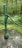 A rustic green hand water pump is mounted on a concrete surface surrounded by a lush forest. The forest floor is covered with green vegetation and moss. The pump handle is long and metallic, and the pump itself shows signs of wear with chipped paint.