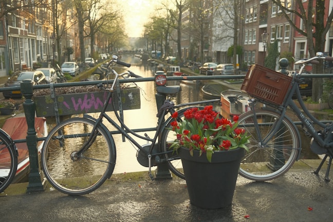 Bicycles are parked on a bridge overlooking a serene canal lined with trees and traditional buildings. A pot full of vibrant red flowers is prominently displayed in the foreground, enhancing the picturesque urban scene.