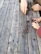 Close-up of hands arranging artisanal products on a wooden table.