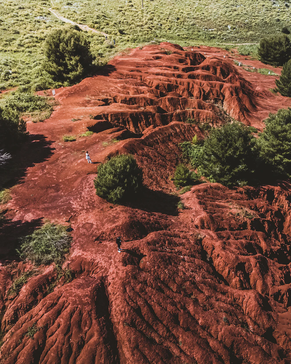 Aerial view of red earth and forest