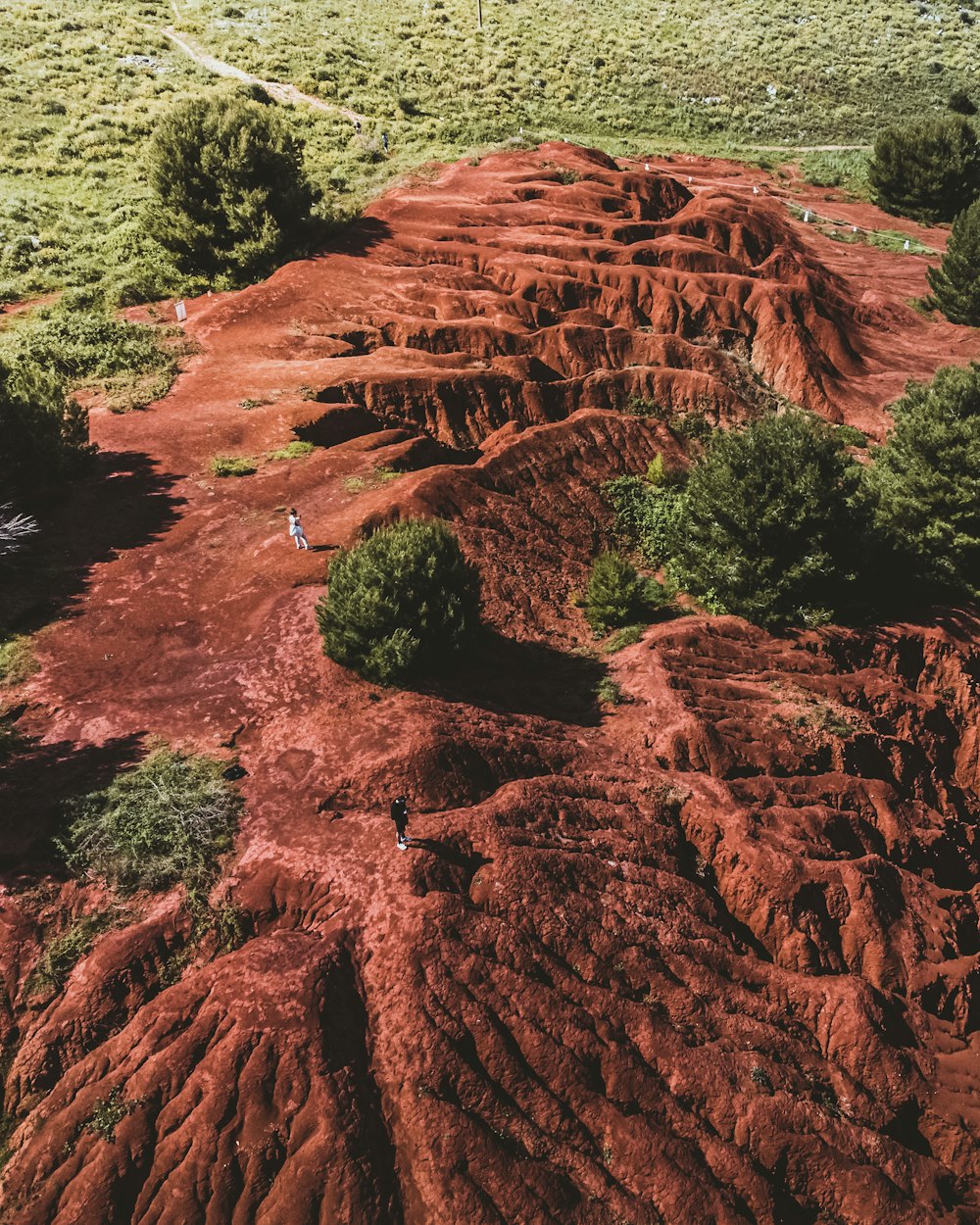 an aerial view of a dirt field with trees