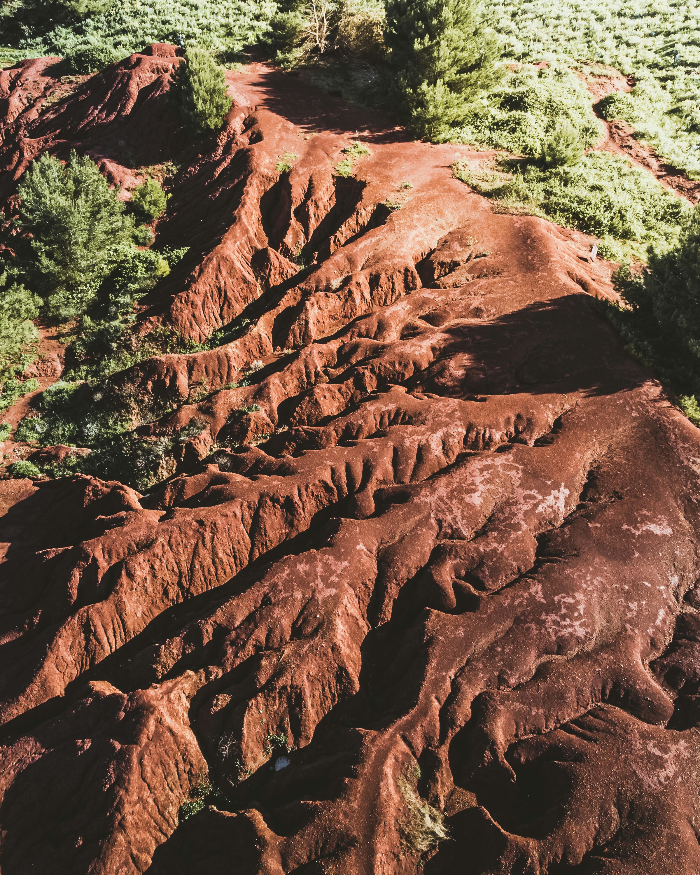 Photo by bruncolombo