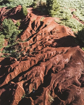 an aerial view of a rocky terrain with trees