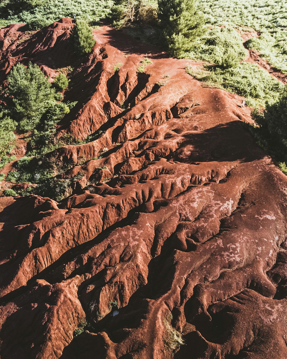 an aerial view of a rocky terrain with trees