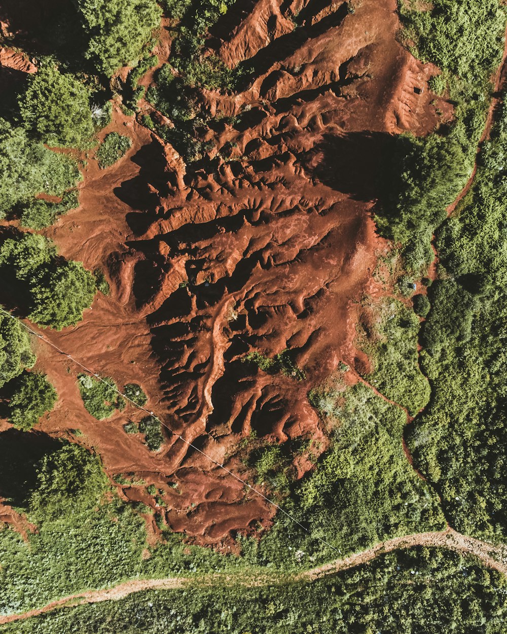 an aerial view of a forest with red dirt
