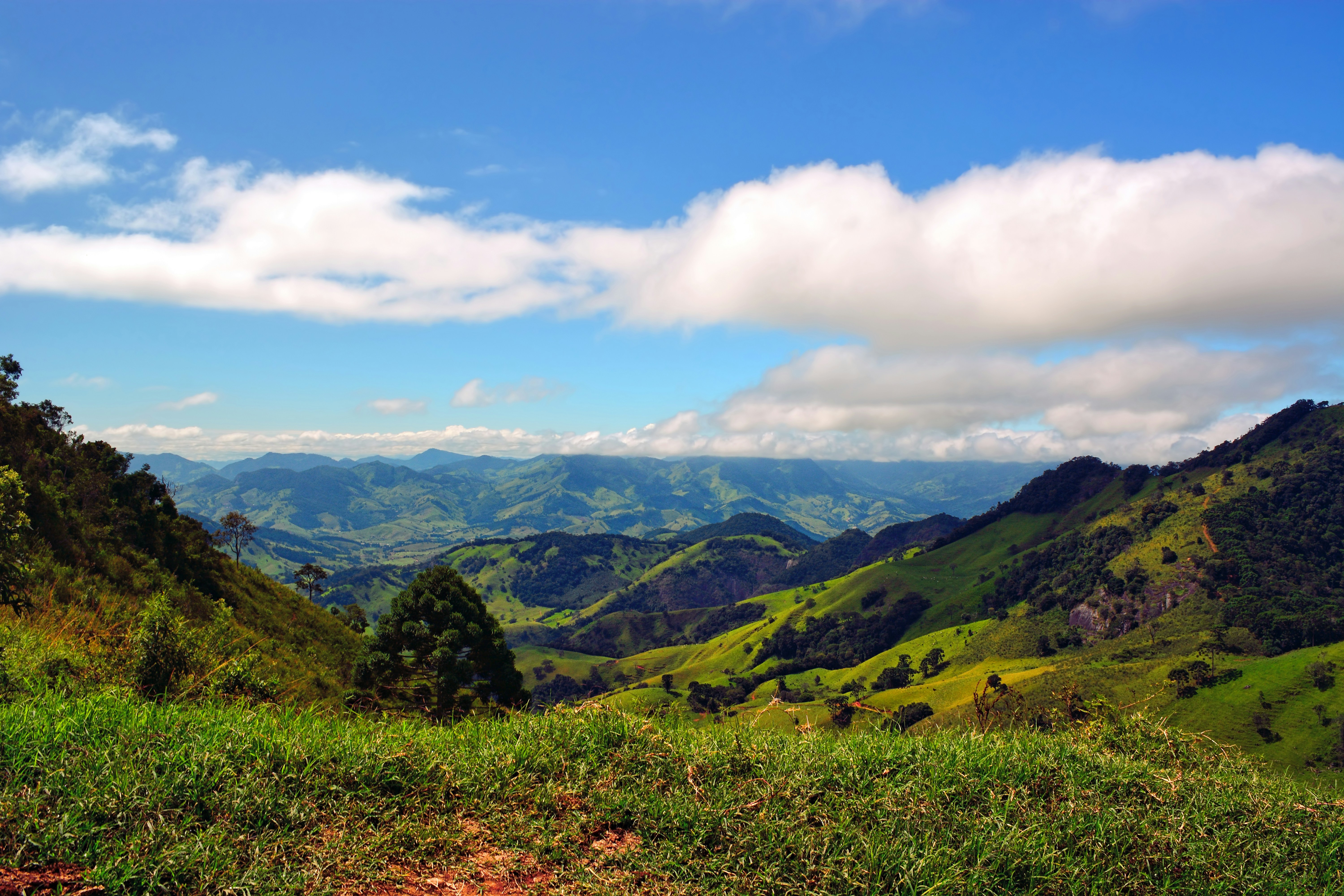 Gonçalves | Guia Completo