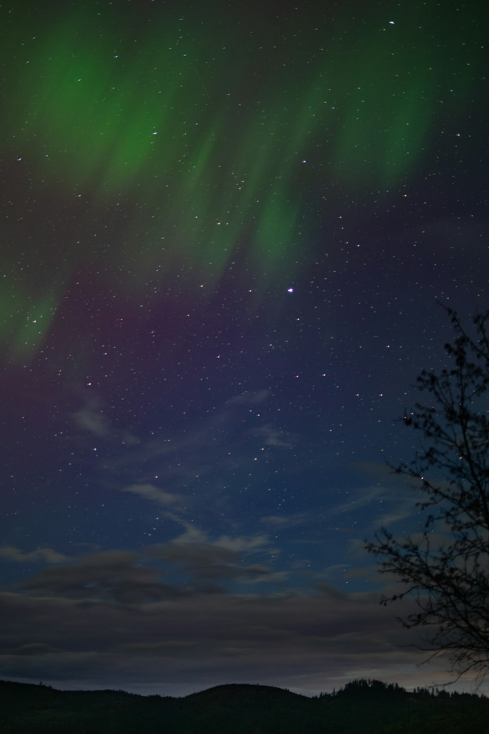 a green and purple aurora bore in the night sky