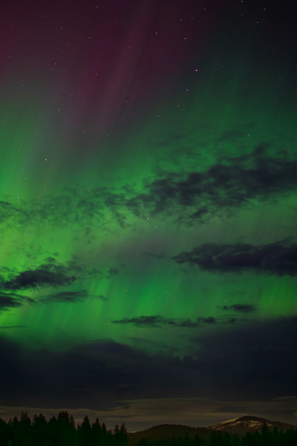 a green and purple aurora bore in the night sky