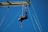 A person is suspended upside down in the air, secured by harnesses and ropes against a clear blue sky. Several ropes are attached to a metal structure above.