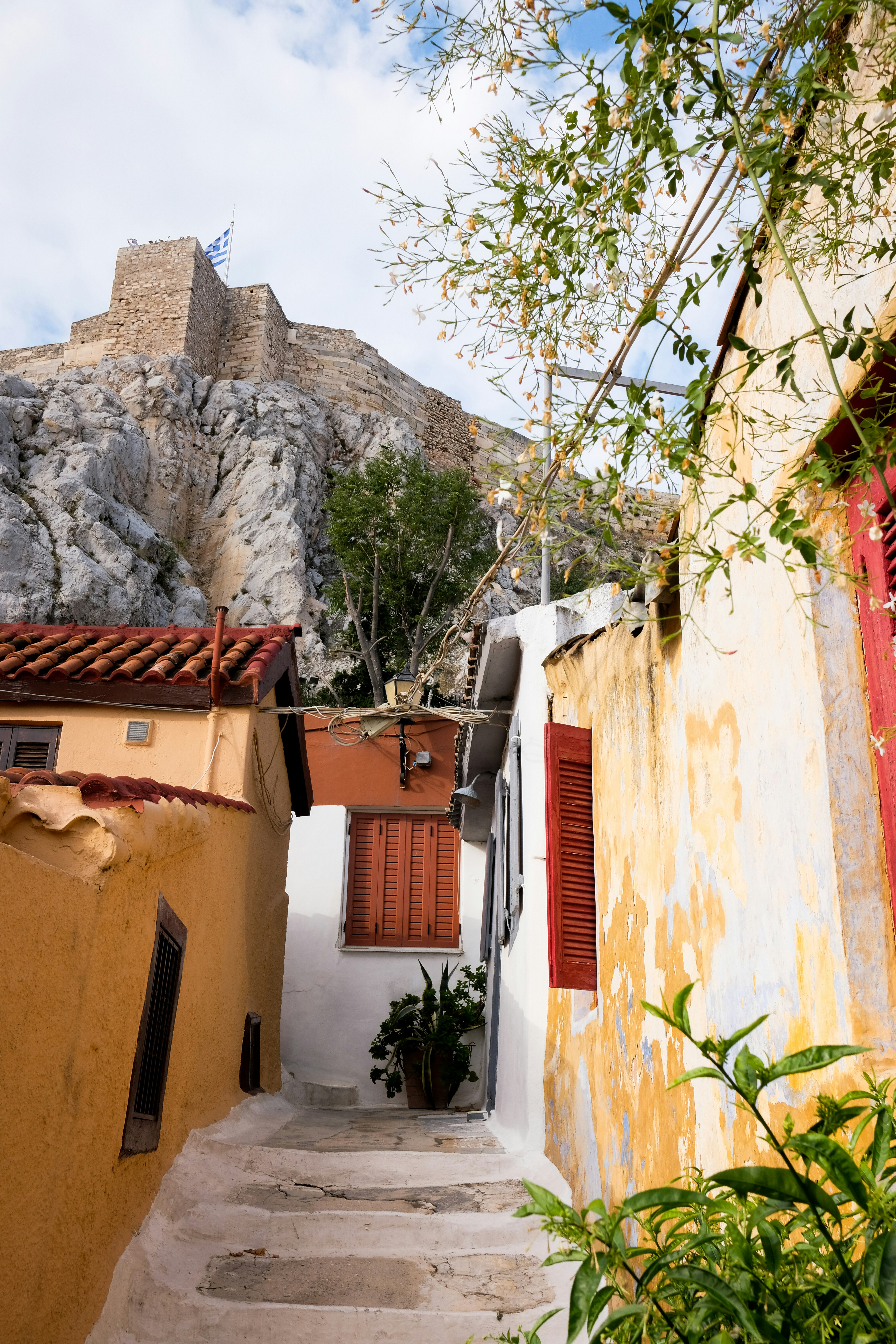 Photo by lmoss_photo