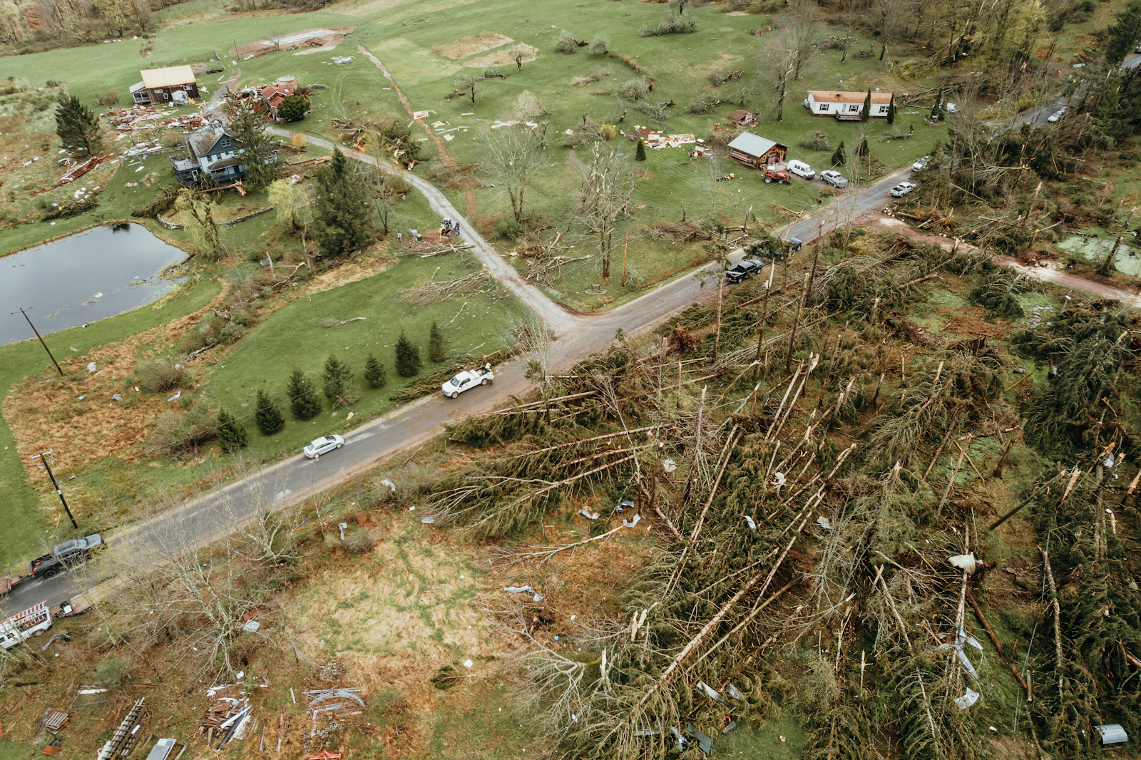Tree Down on a Property Line Fence