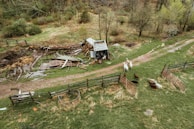 A rural scene with a small, weathered shed surrounded by scattered wooden planks and debris. A muddy path leads past the structure, with some fencing enclosing parts of the grassy area. Livestock, including goats and sheep, roam around in the grassy field, contributing to the pastoral setting. Trees and patches of greenery surround the area, indicating a countryside environment.