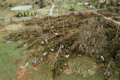 An aerial view of a landscape showing extensive damage from a storm or natural disaster. Numerous trees are uprooted and strewn across the ground, with debris scattered among the fallen vegetation. A road with several cars is visible in the background, leading to some houses that appear to have avoided major damage. The scene is set in a rural area with patches of green grass and a small pond.