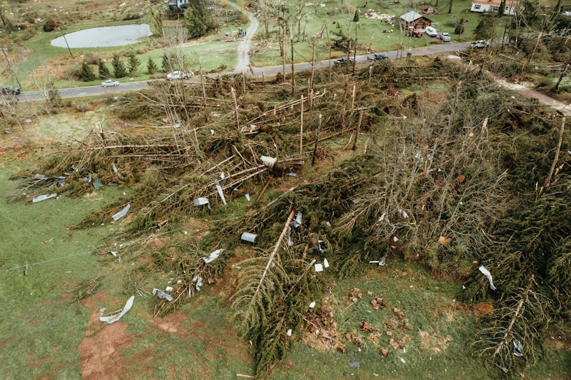 An aerial view of a landscape showing extensive damage from a storm or natural disaster. Numerous trees are uprooted and strewn across the ground, with debris scattered among the fallen vegetation. A road with several cars is visible in the background, leading to some houses that appear to have avoided major damage. The scene is set in a rural area with patches of green grass and a small pond.