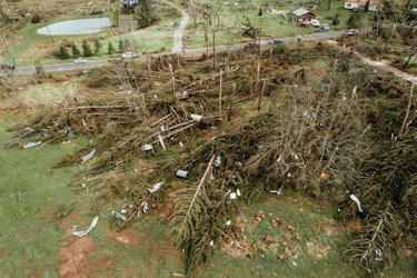 The Most Catastrophic Disasters in History