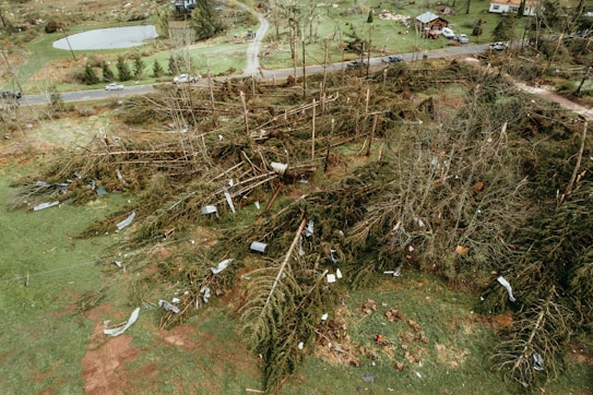 An aerial view of a landscape showing extensive damage from a storm or natural disaster. Numerous trees are uprooted and strewn across the ground, with debris scattered among the fallen vegetation. A road with several cars is visible in the background, leading to some houses that appear to have avoided major damage. The scene is set in a rural area with patches of green grass and a small pond.