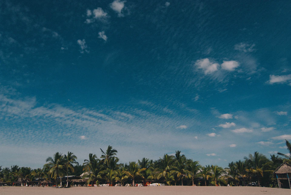 The image depicts a serene tropical beach scene with palm trees lining the shore and a clear blue sky above. The perspective is from ground level, looking out towards the horizon where the sky meets the ocean. The sandy beach stretches out to meet the water at the far end of the frame. In the distance, there are several buildings visible on the right side of the image.