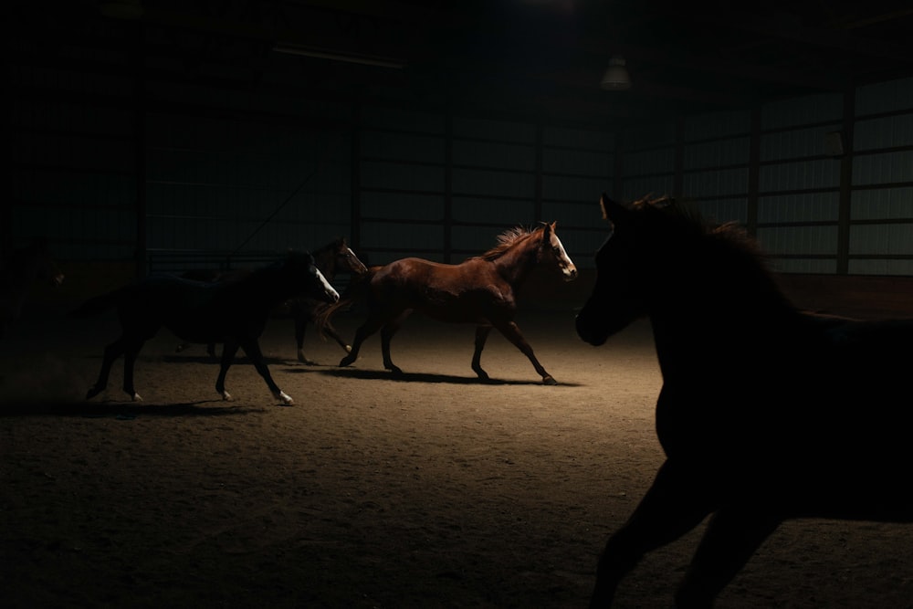 a group of horses running in a barn at night