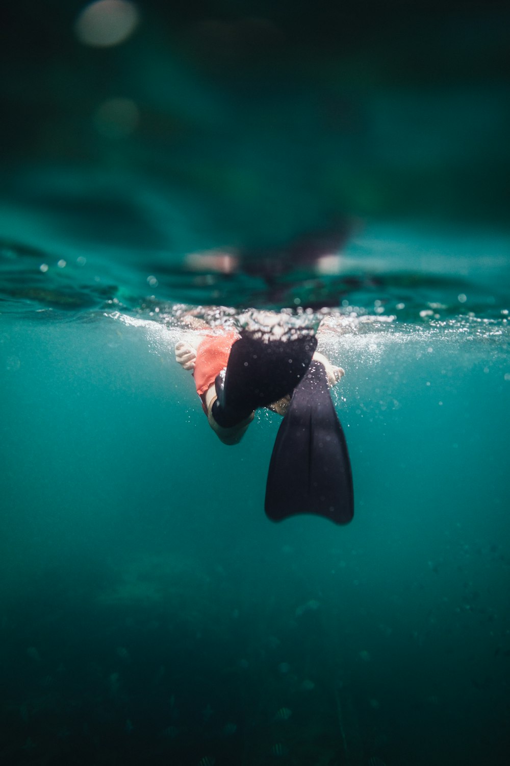 a person in a wet suit swimming in the water