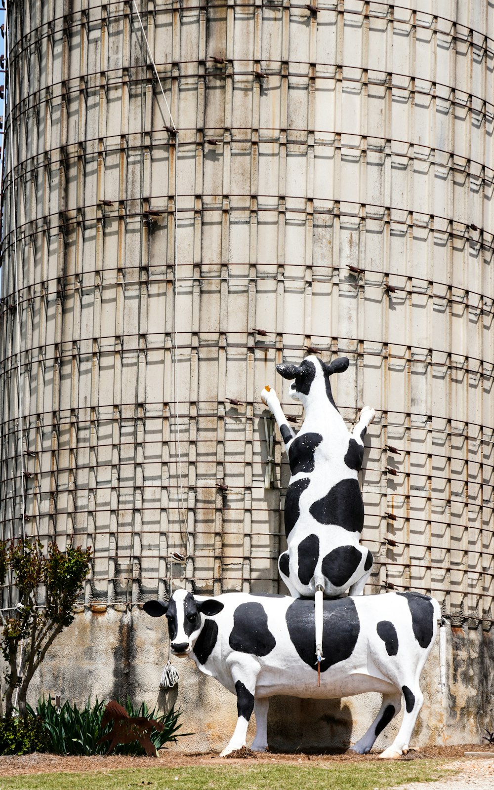 a statue of a cow and a cow in front of a building