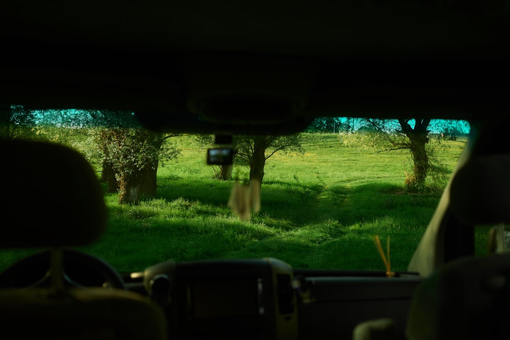 a view of a grassy field from inside a car