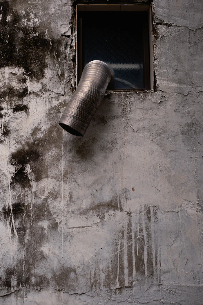 Do You Need a Dryer Vent Cover? Bird & Pest Guards Explained