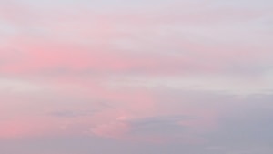 Dreamscape