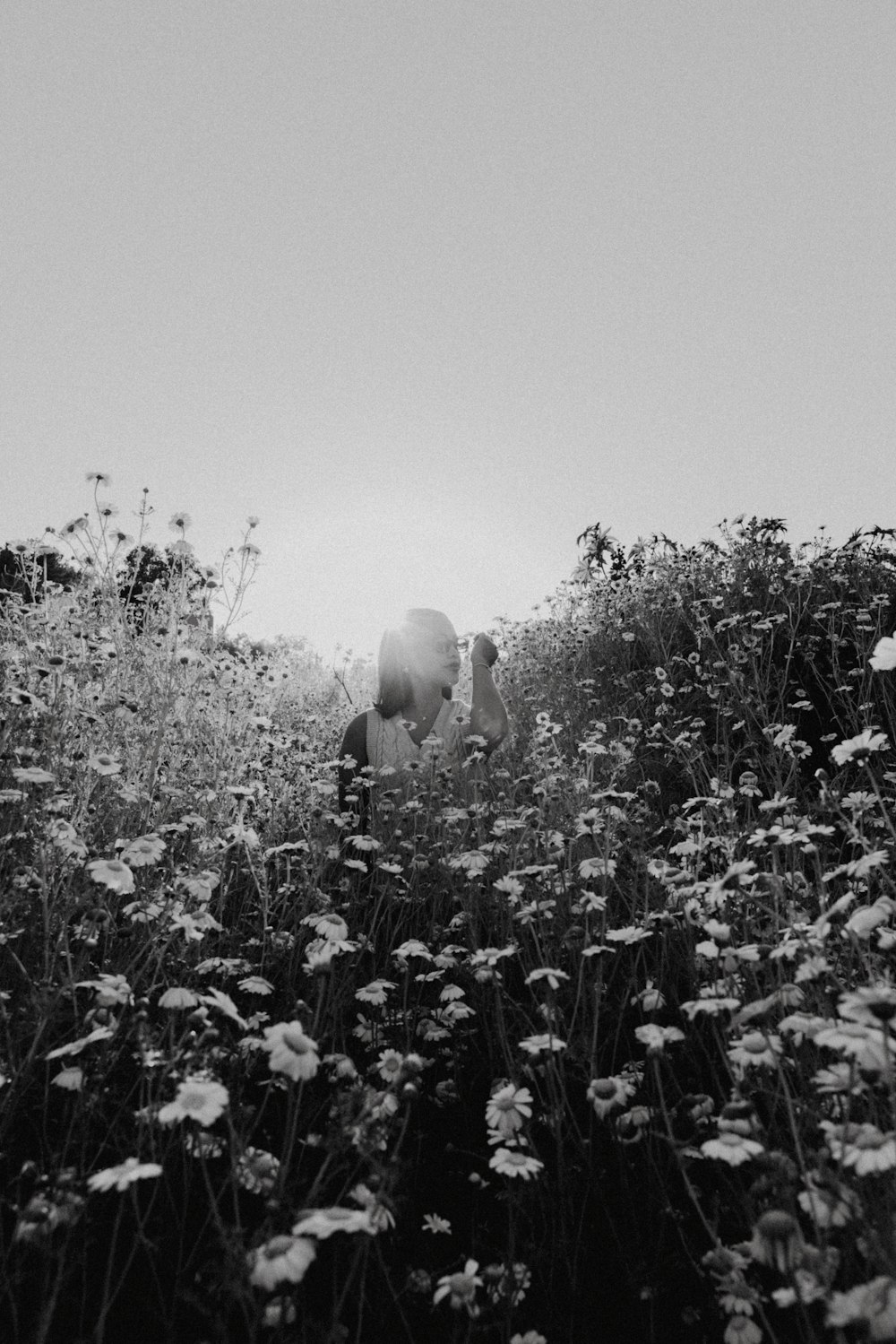 a couple kissing in a field of flowers