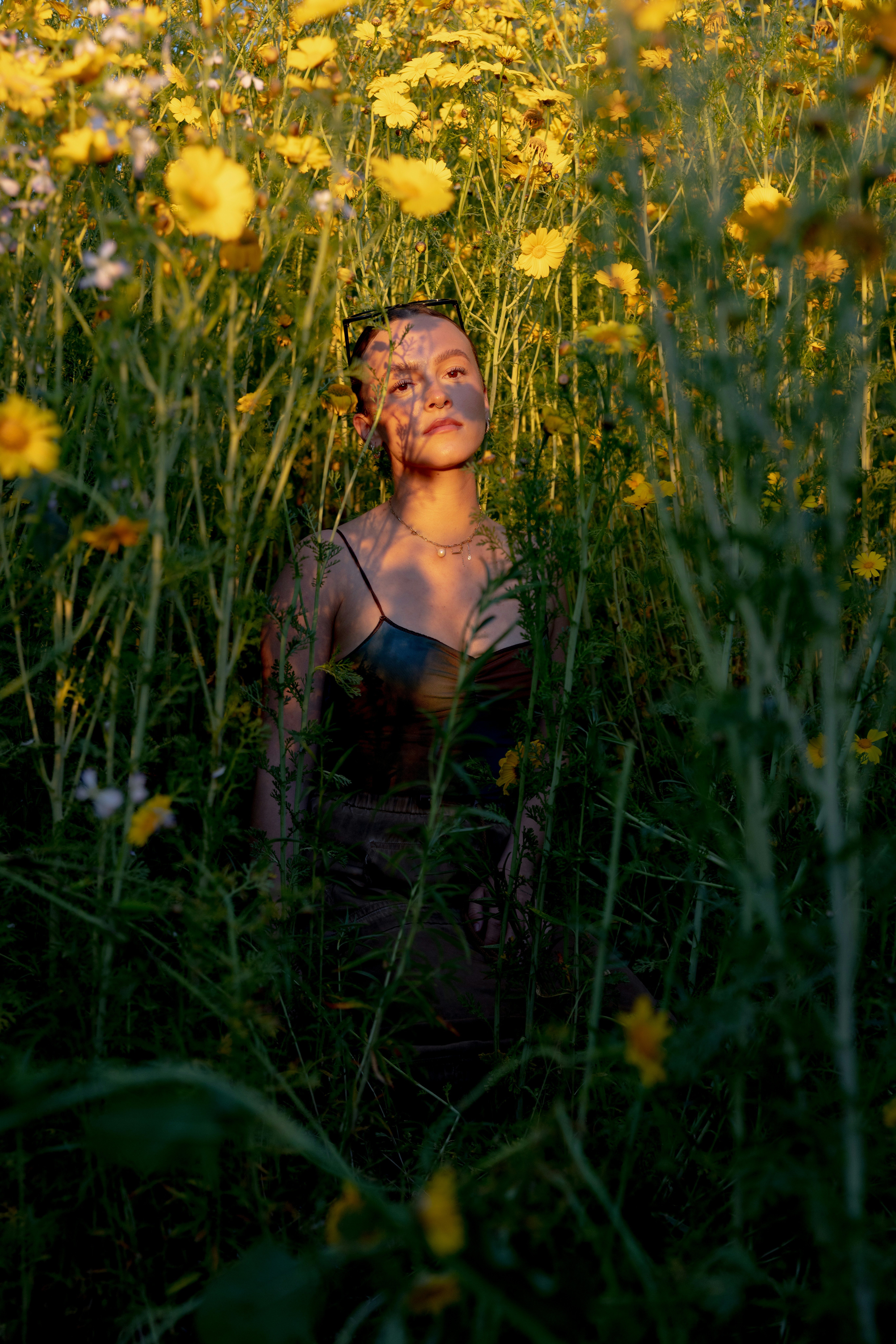 a woman laying in a field of yellow flowers