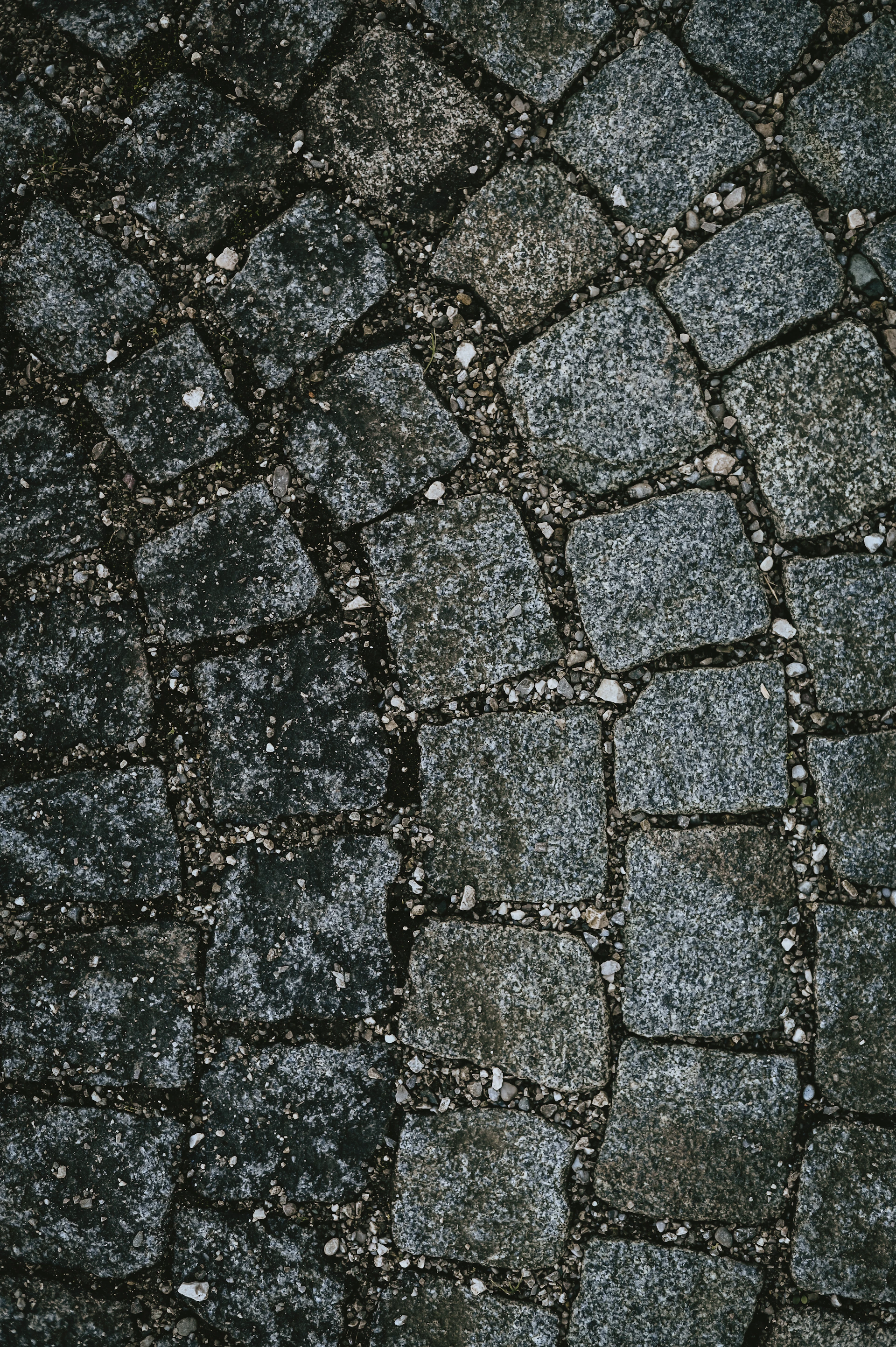 a black and white photo of a cobblestone street