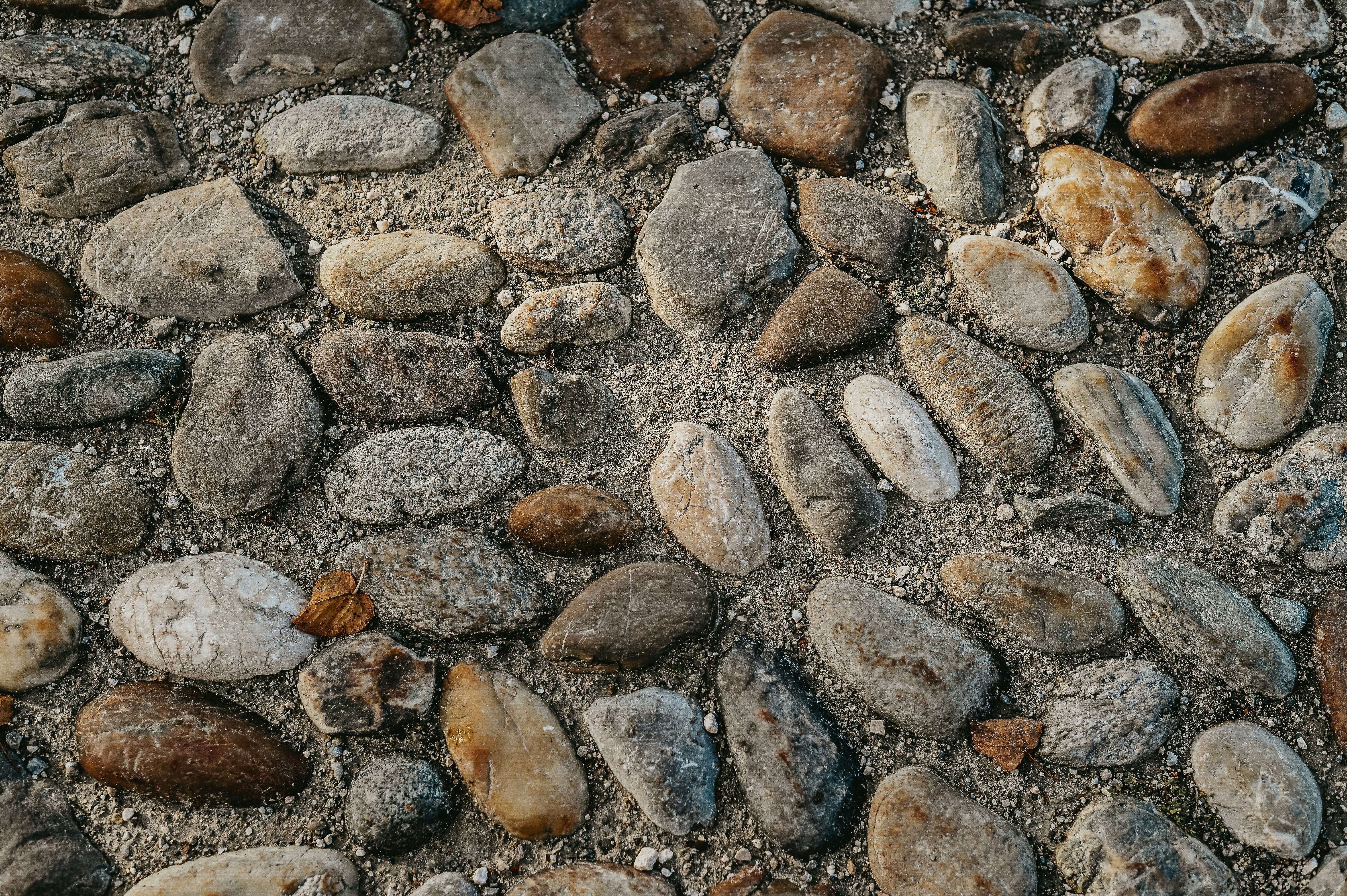a bunch of rocks that are laying on the ground