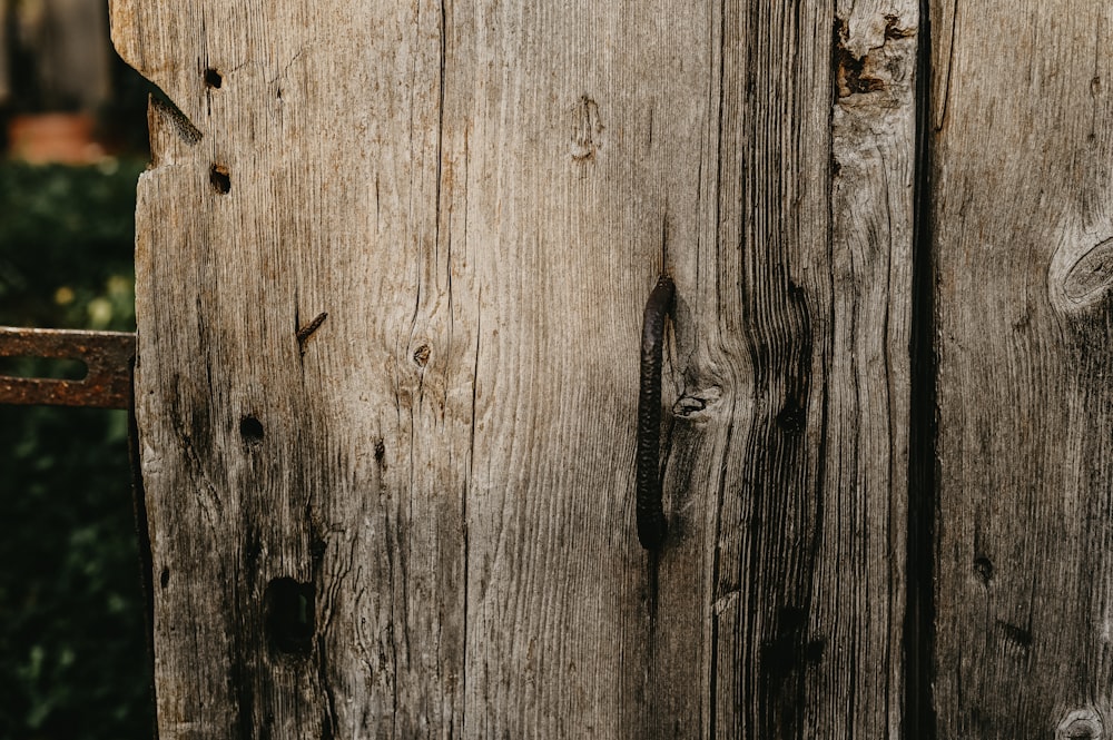 a close up of a wooden fence with a bird perched on top of it