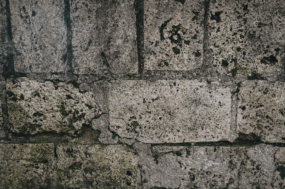 a close up of a stone wall with moss growing on it